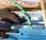 فروش قایق با موتور ۷۵ اسب‌بخار ساق بلند